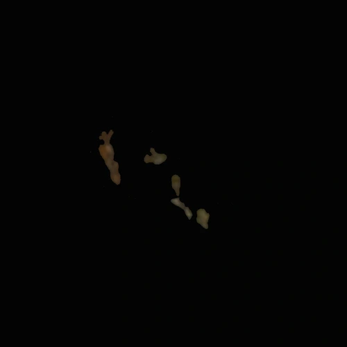 Crystals-pille