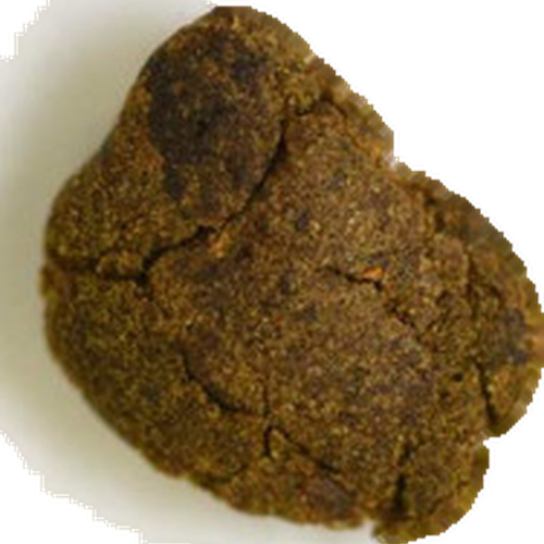 Piolla No Logo