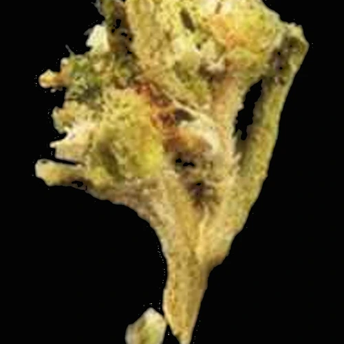 Crystals-Pille