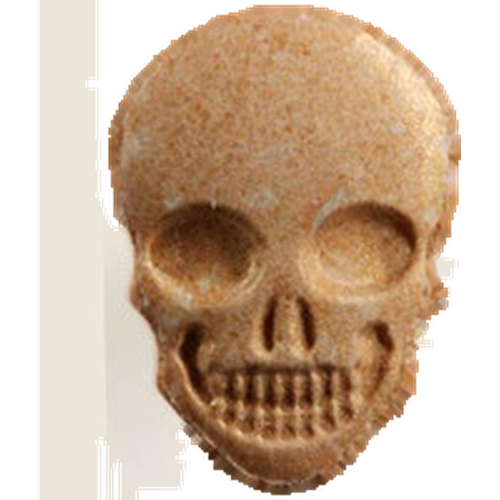 Pastilla Skull