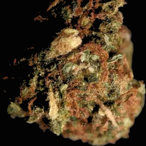 Piolla Crystals