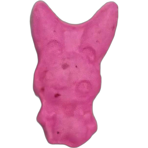 Polvo hapı