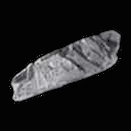 Crystals tablete