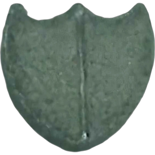 Dom Perignon-pille — 2