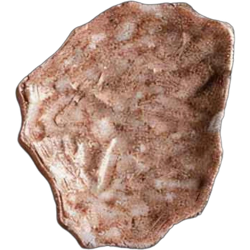 Piolla Lion