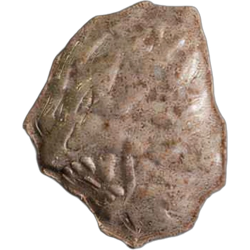 Tableta Lion — 2