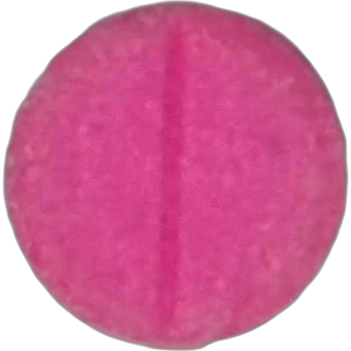 Rolex-pilleri — 2
