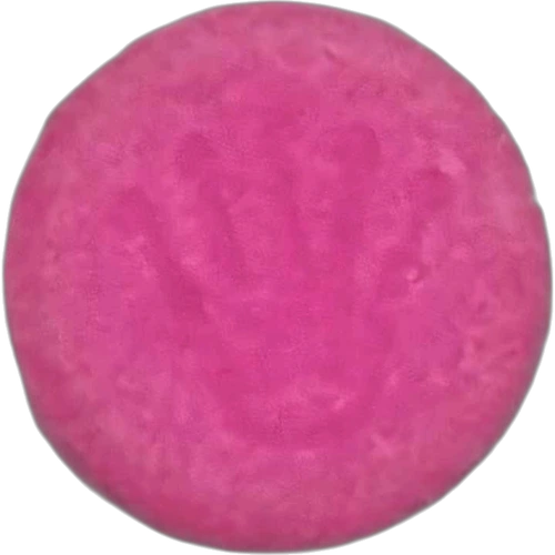 Rolex-pilleri