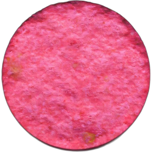 No Logo-pilla — 2
