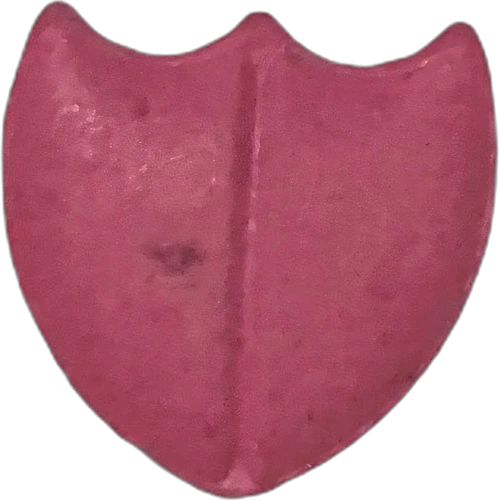 Dom Perignon pill — 2