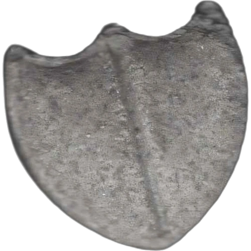 Tabletka Shield — 2