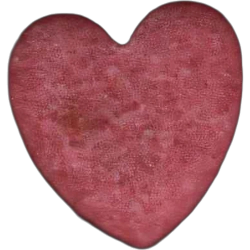 Tabletka Heart