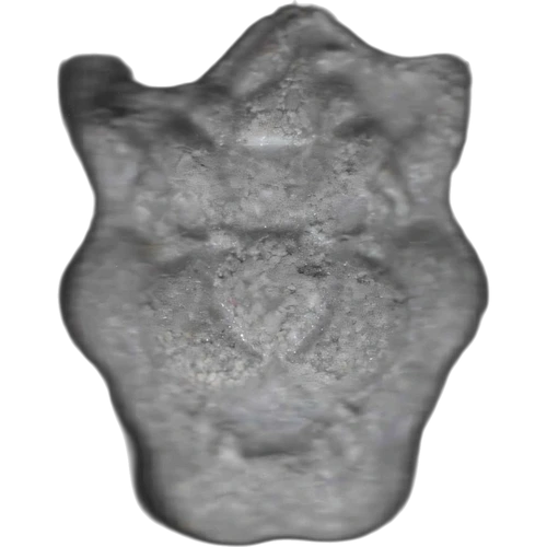 Tabletka Tiger — 2