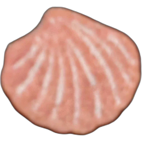 Pastilla Concha