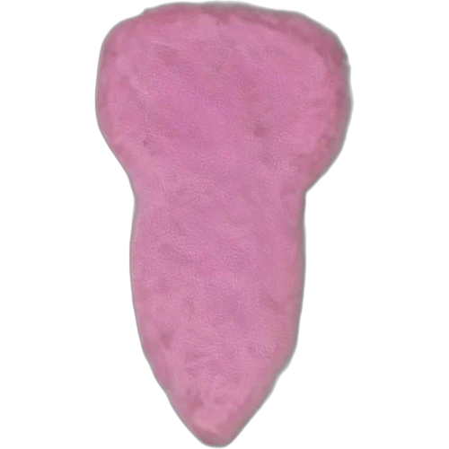 NASA pill — 2