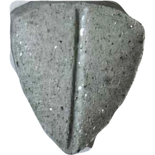 Tesla-pilleri — 2