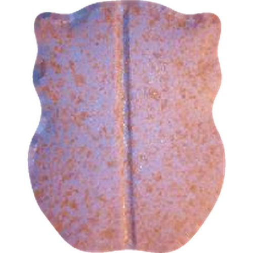 Pastilla Owl — 2