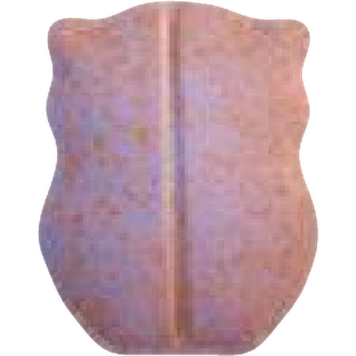 Tabletka Owl — 2