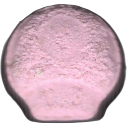 Mushroom pill
