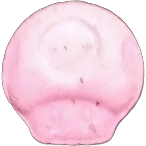 Tabletka Mushroom
