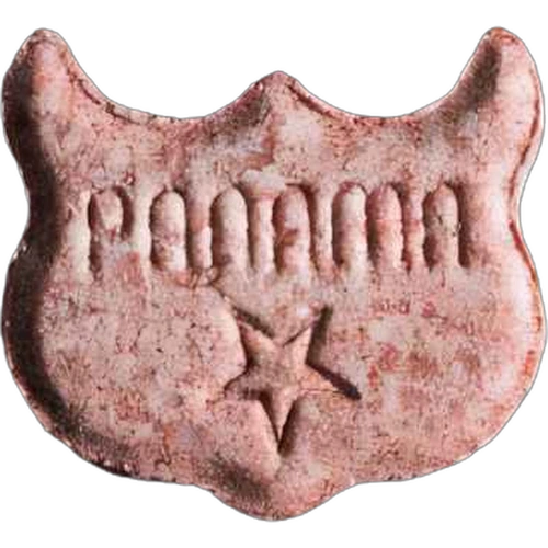 Pastilla Owl — 2