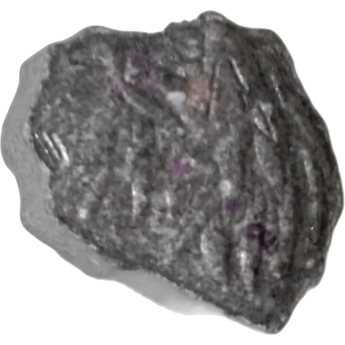 Leon-pilleri — 2