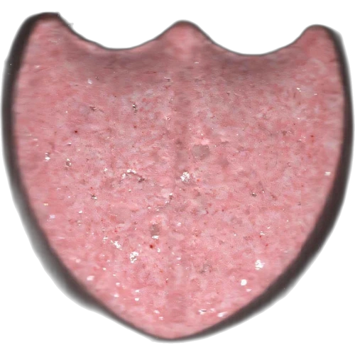 Tabletka Dom Perignon — 2