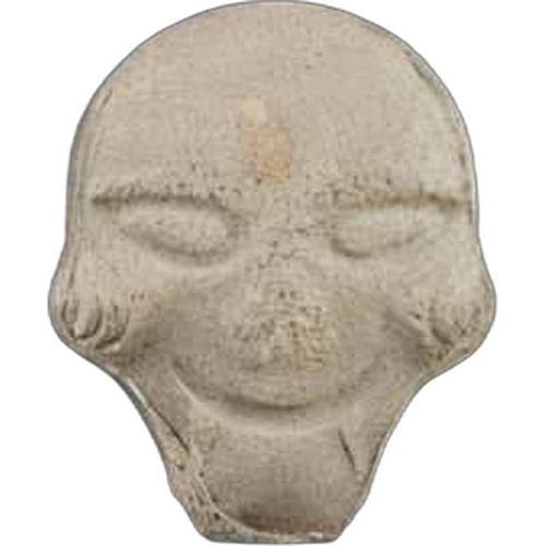 Skull tablete — 2