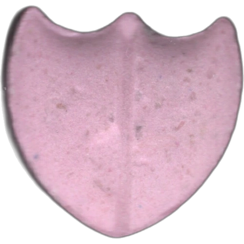 Shield-tablett — 2