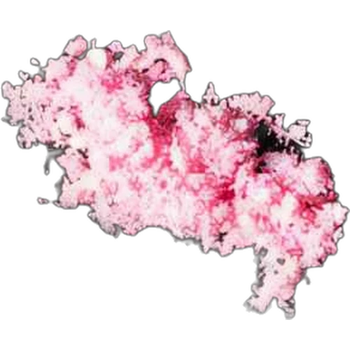 Tabletka Crystals — 2