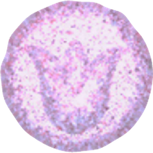 Tulpe pills (Ecstasy / MDMA), front