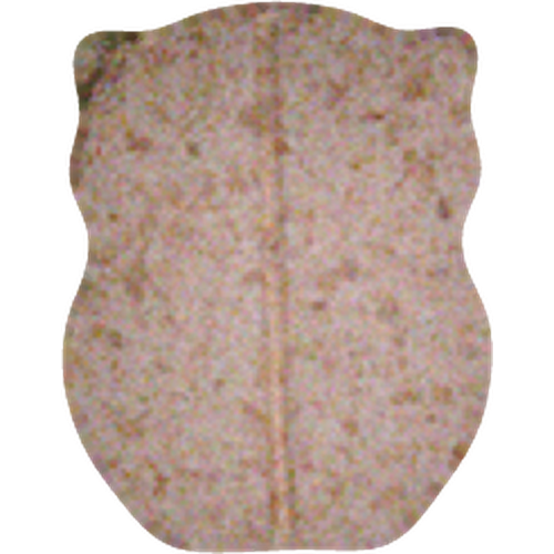 Tabletka Owl — 2