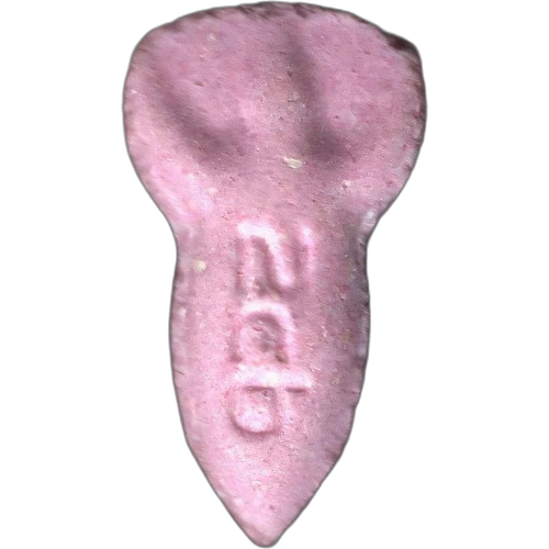Tableta NASA — 2