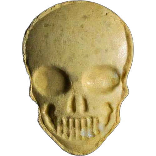 Skull-pilleri