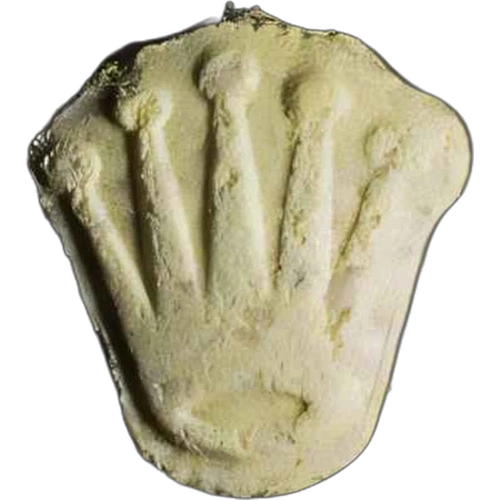 Tabletka Rolex
