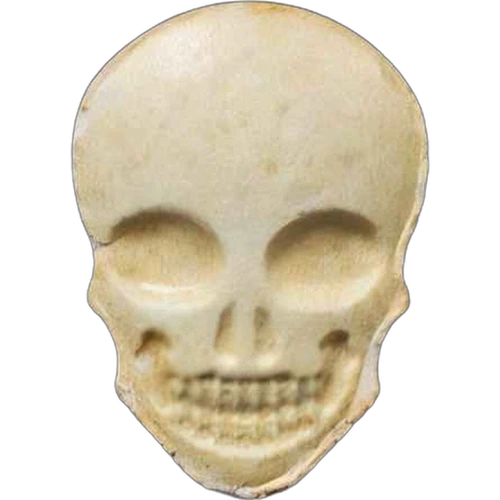 Tabletka Skull