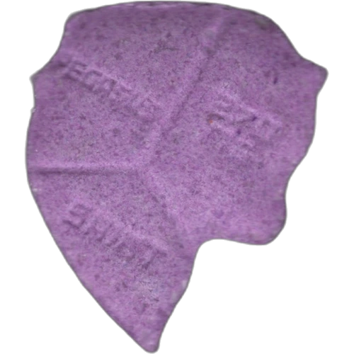 Comprimé Pegasus — 2