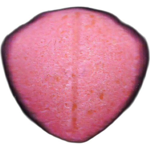 Warner Bros pill — 2