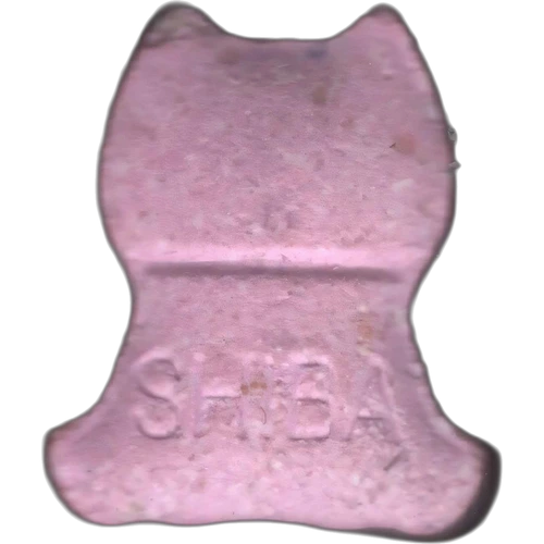 Tableta Shiba — 2