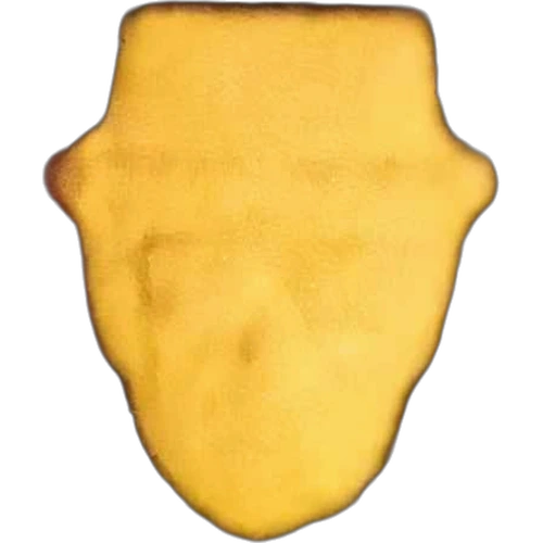 Heissenberg-pilla