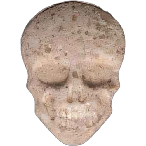 Tabletka Skull