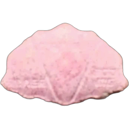 Pastilla Inner, Sinner Cerberus — 2