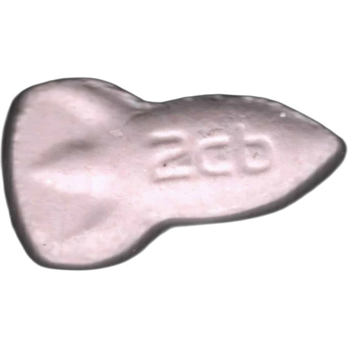 NASA tabletta — 2