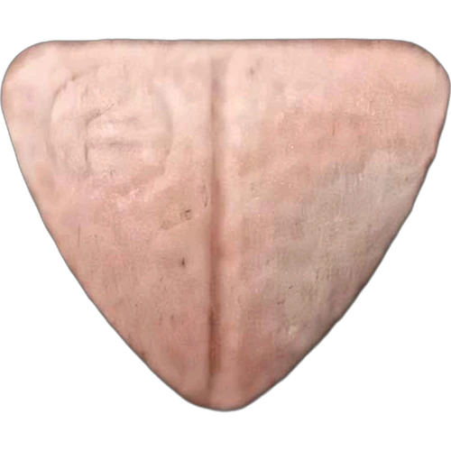 Postnl tablete — 2