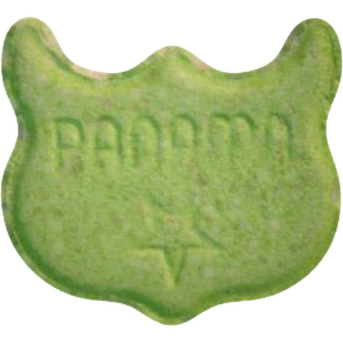 Pastilla Owl (Panama) — 2