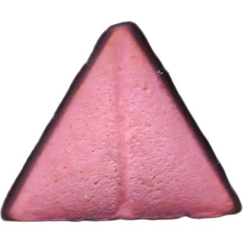 Tableta Gorka.in — 2