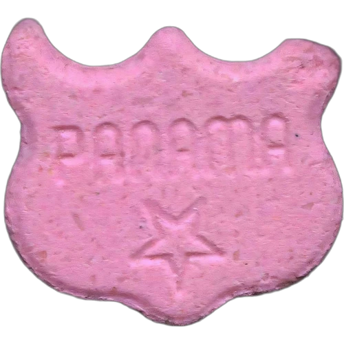Pastilla Owl — 2