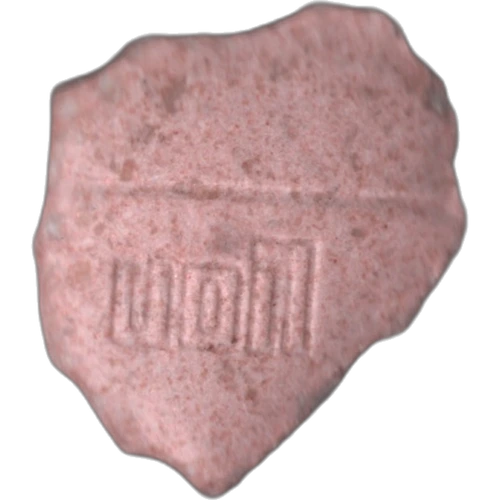 Pillola Leon — 2