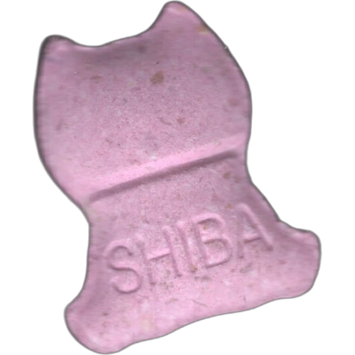 Tabletė Shiba — 2