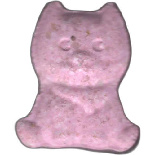 Tabletė Shiba